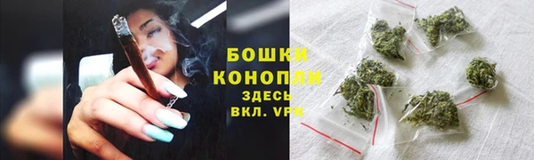 ПСИЛОЦИБИНОВЫЕ ГРИБЫ Балабаново