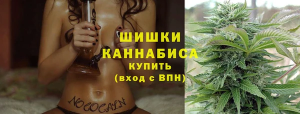 ПСИЛОЦИБИНОВЫЕ ГРИБЫ Балабаново